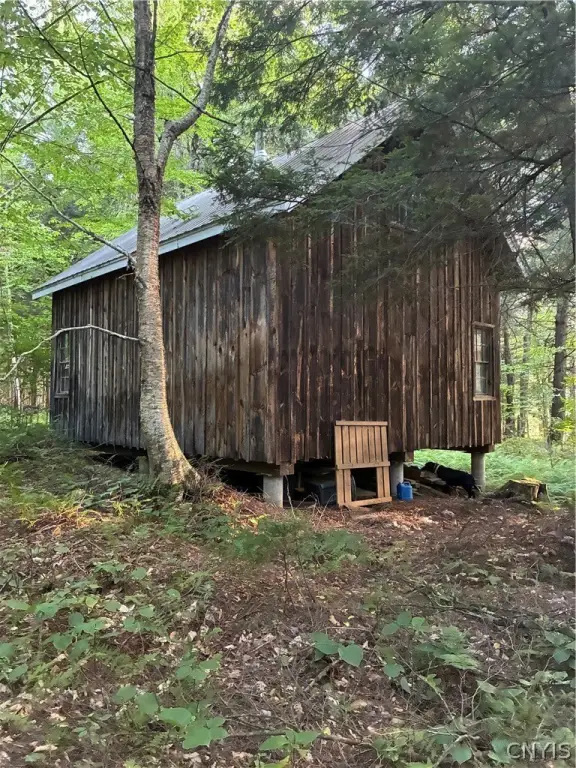 Picture 7