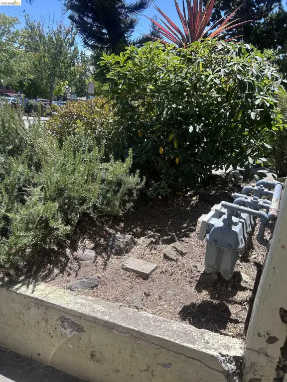 Picture 11