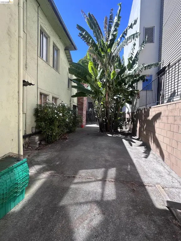 Picture 6