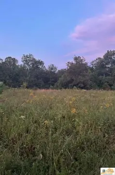 Land For Sale in Munfordville