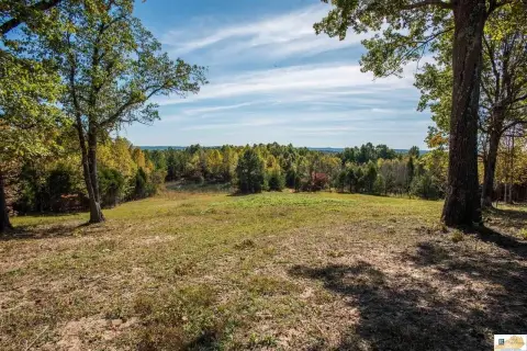 Bonnieville Acreage with Hunting Infrastructure
