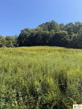 Burkesville Acreage Near Dale Hollow