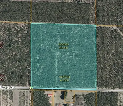40 Acres Wooded Land