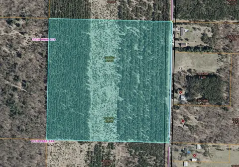 Wooded Acreage Near Wisconsin Rapids