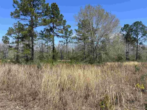 Pace, FL Acreage Lot