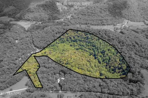53-Acre Recreational Land