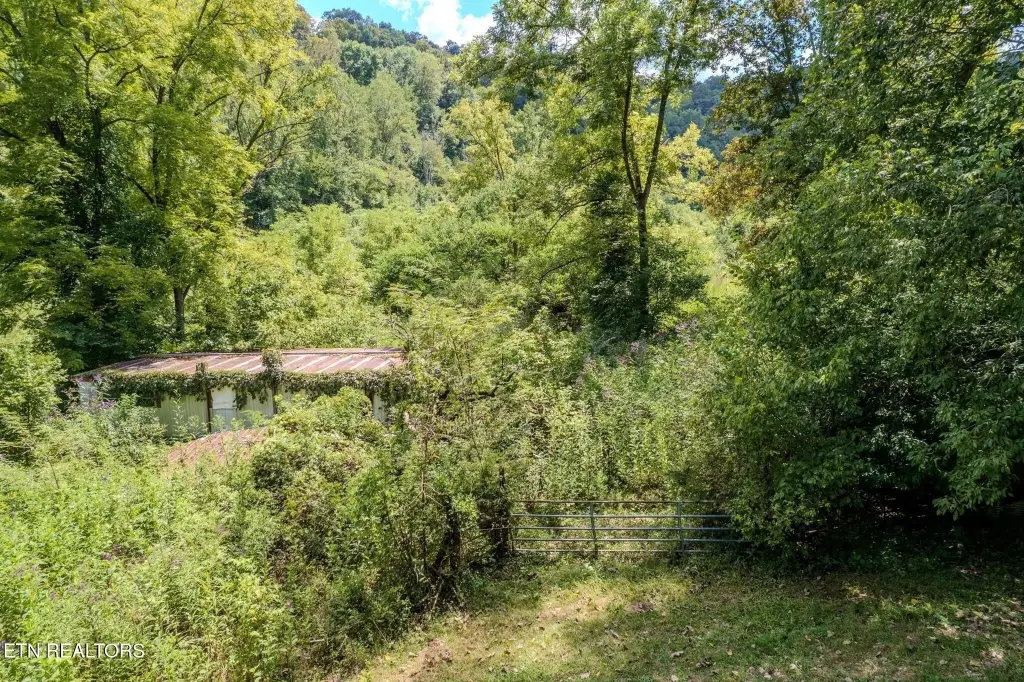 Picture 19