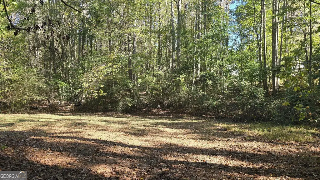 Picture 23