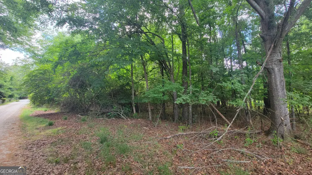 Picture 3