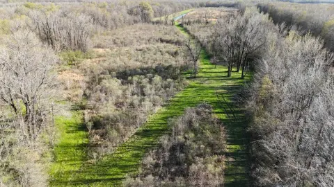 Turnkey Hunting Land in Mangham, LA