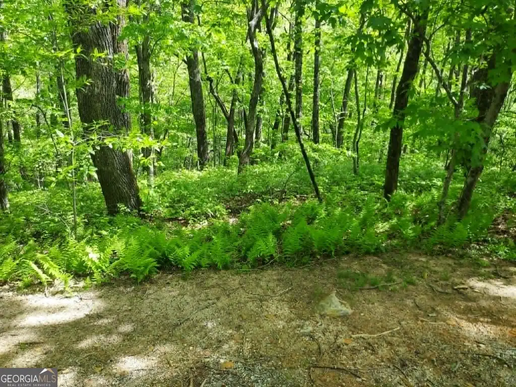 Picture 3