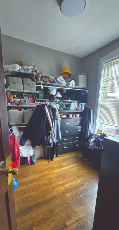 Picture 5