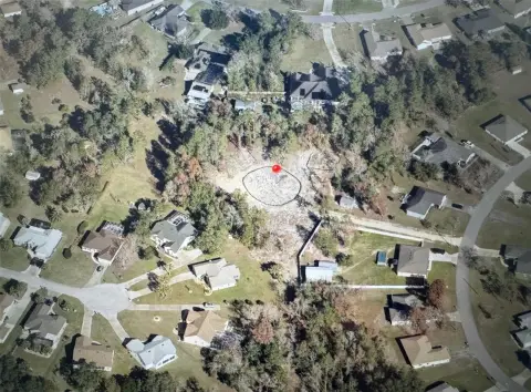 Cleared 1.63 Acres in Ocala
