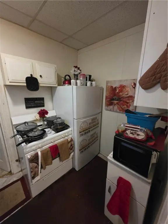 Picture 8