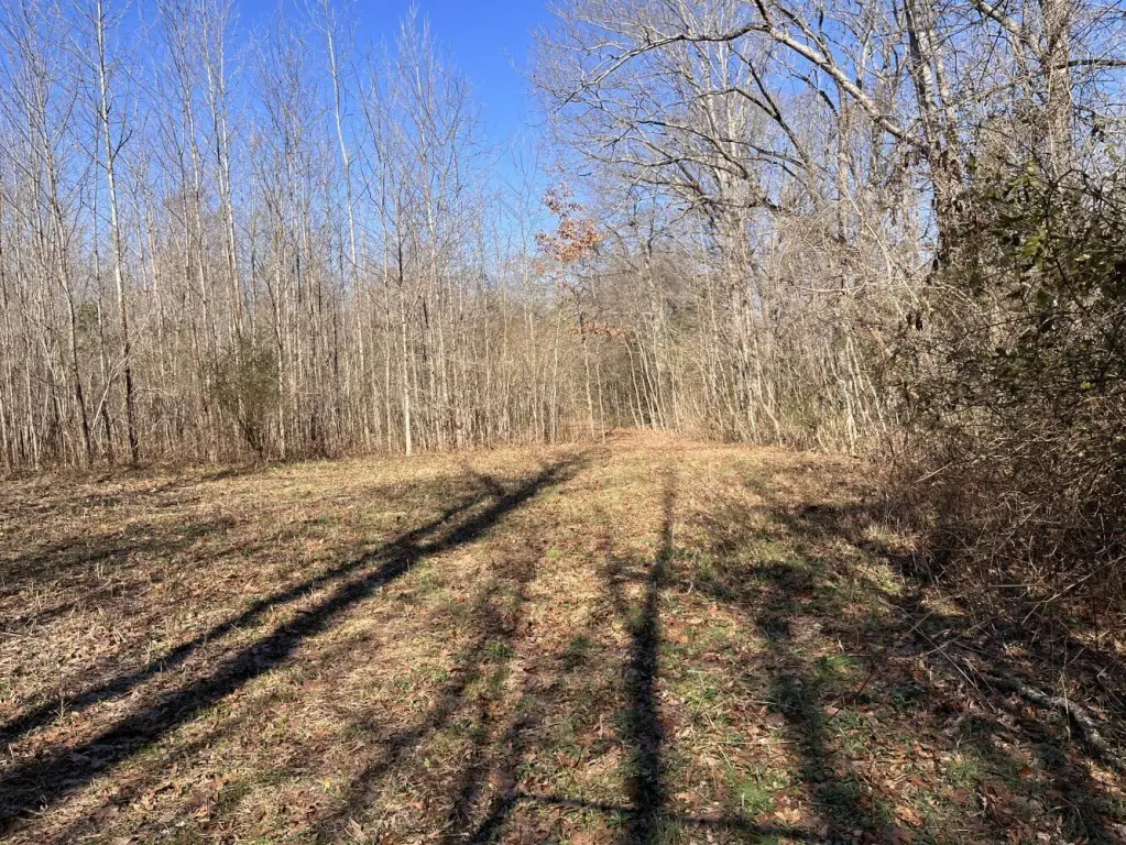 Picture 19