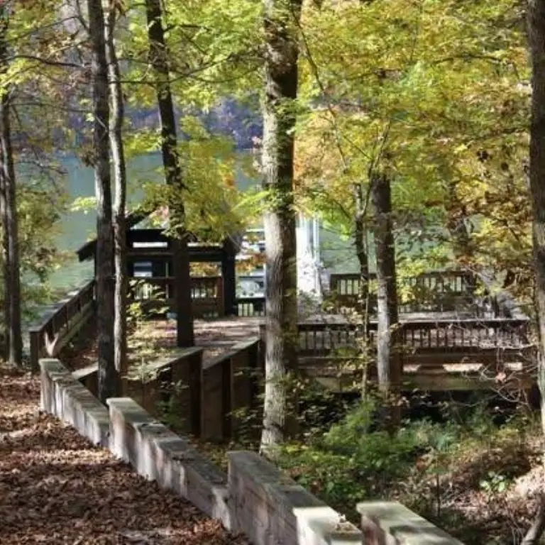 Picture 9