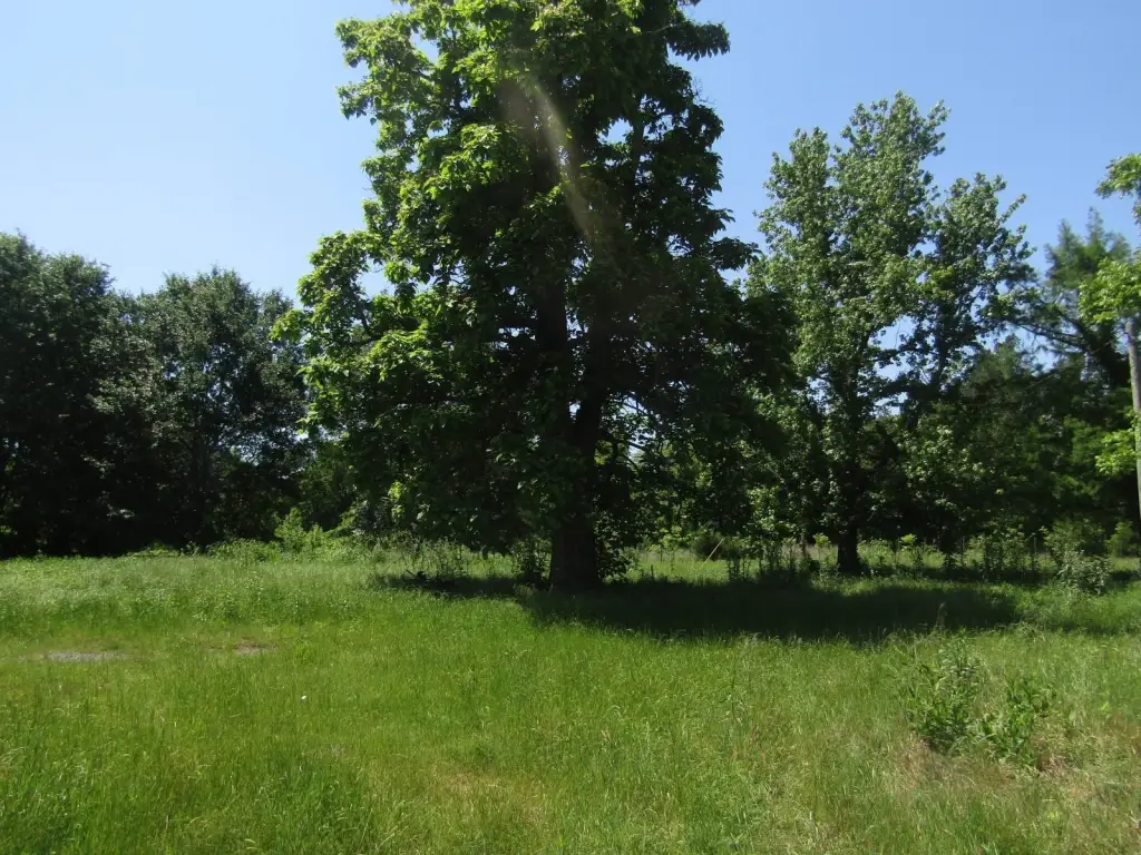 Picture 67