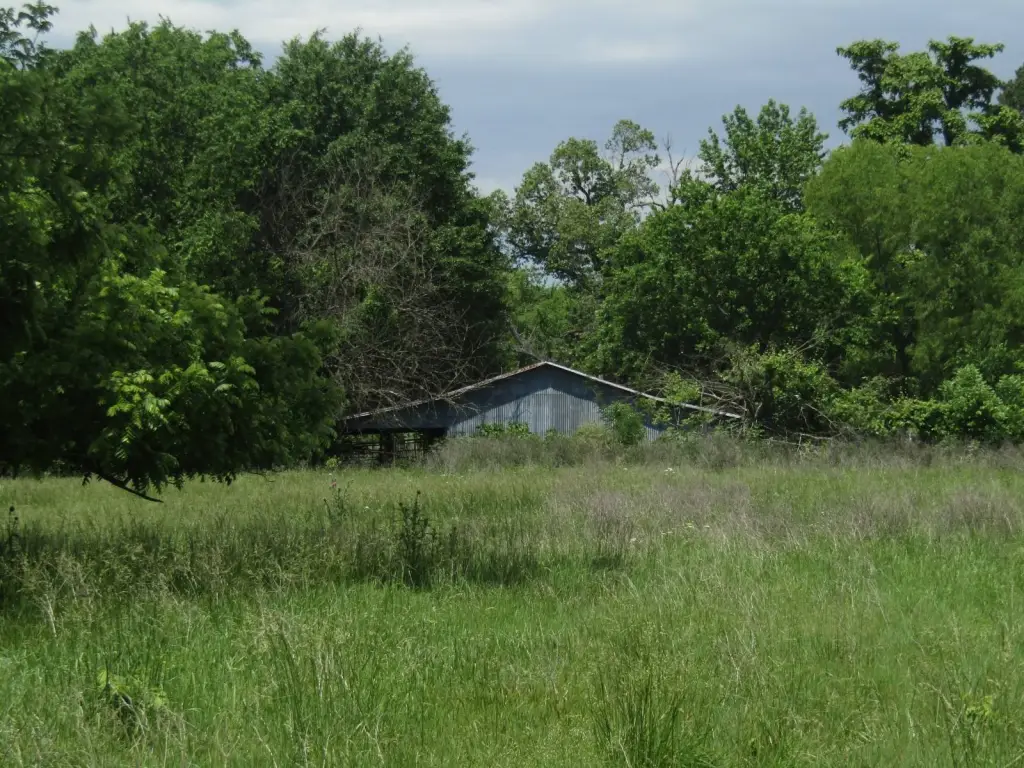 Picture 29