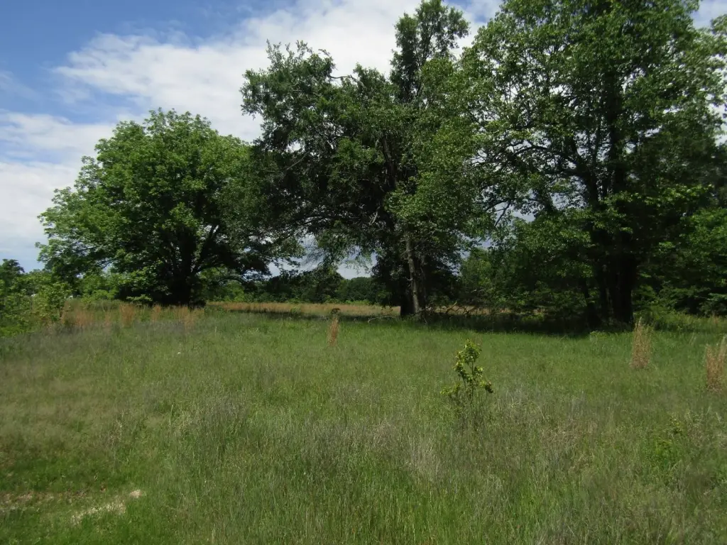 Picture 45
