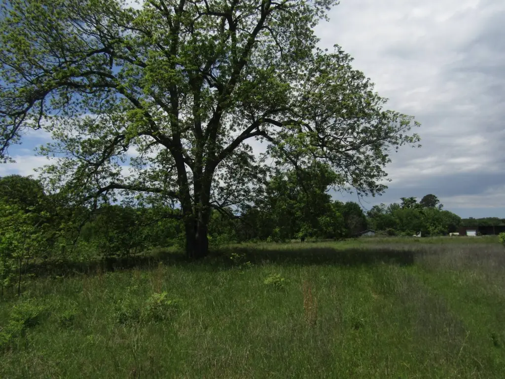 Picture 35