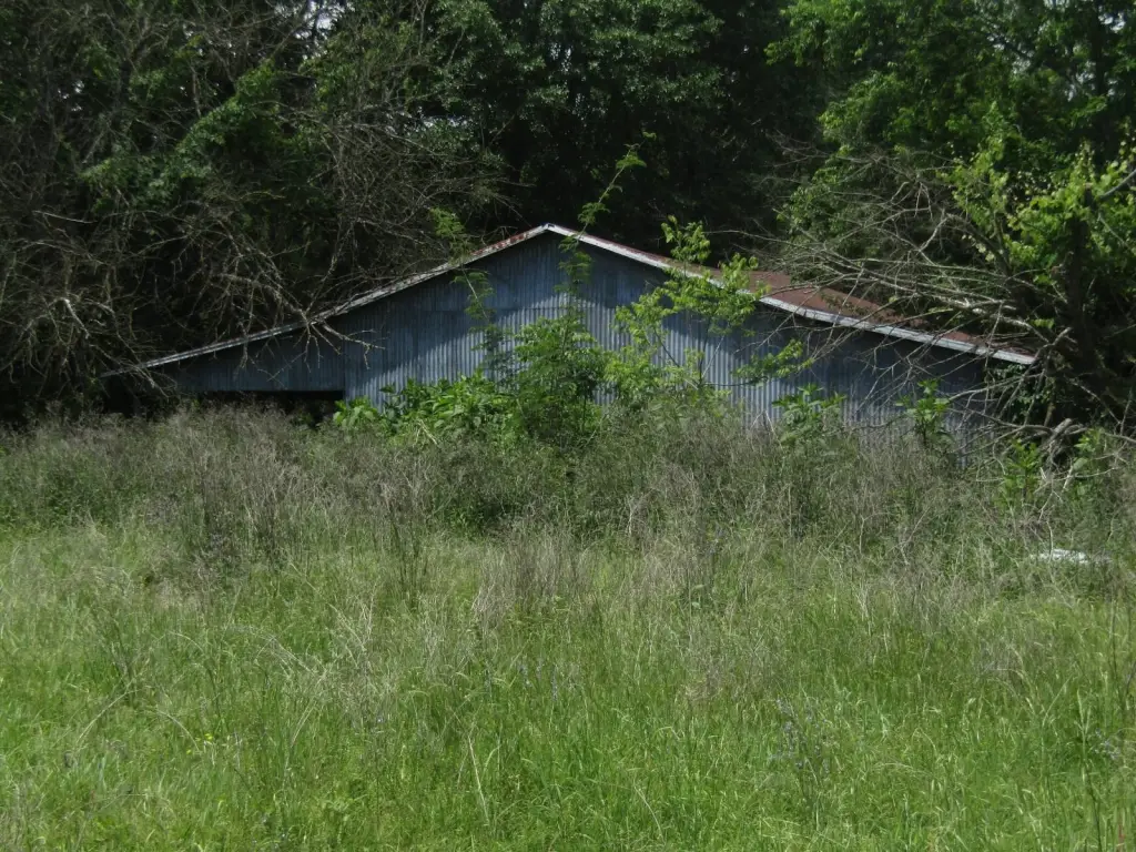 Picture 26