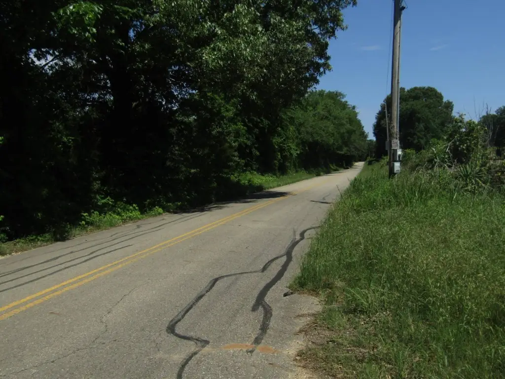 Picture 72