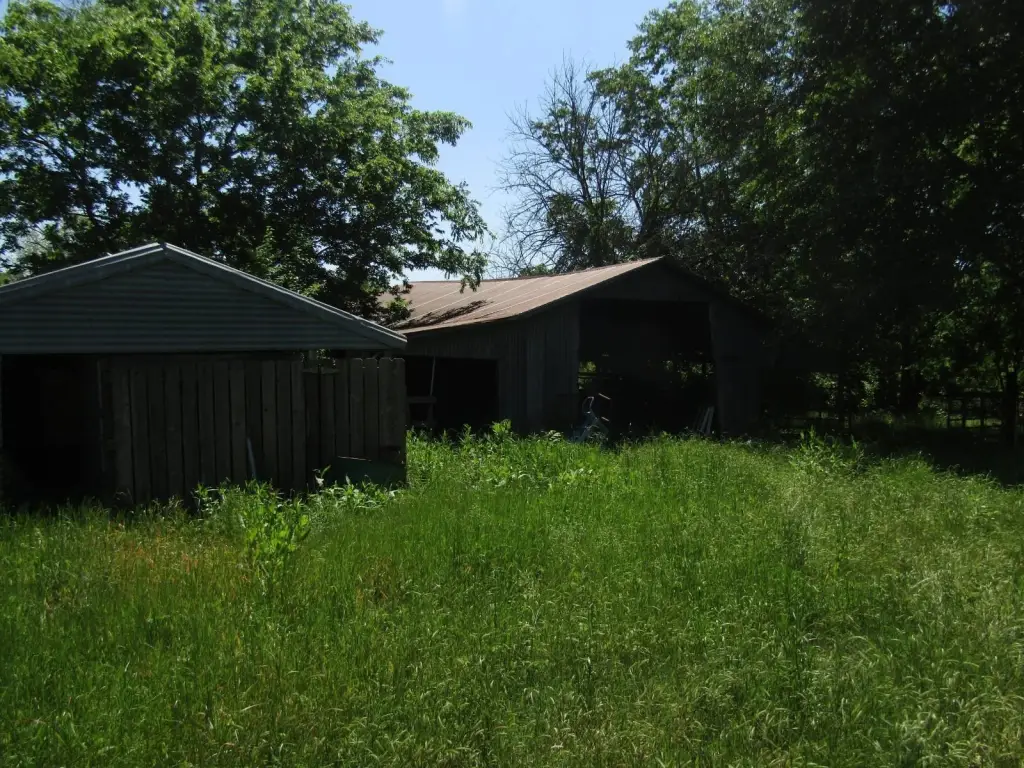 Picture 66
