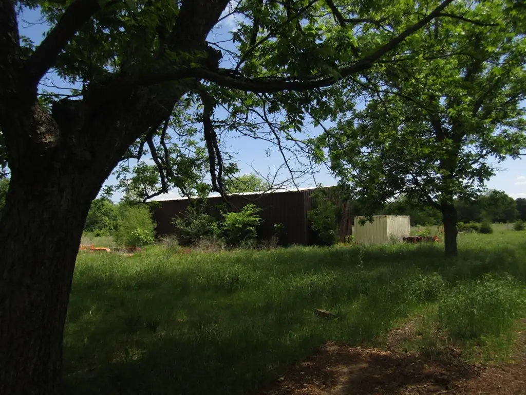 Picture 16