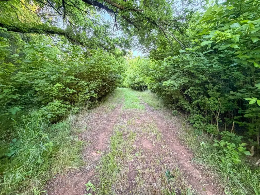 Picture 40