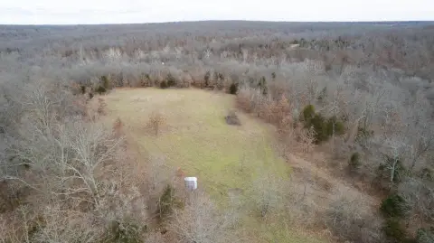 Timbered Hunting Land