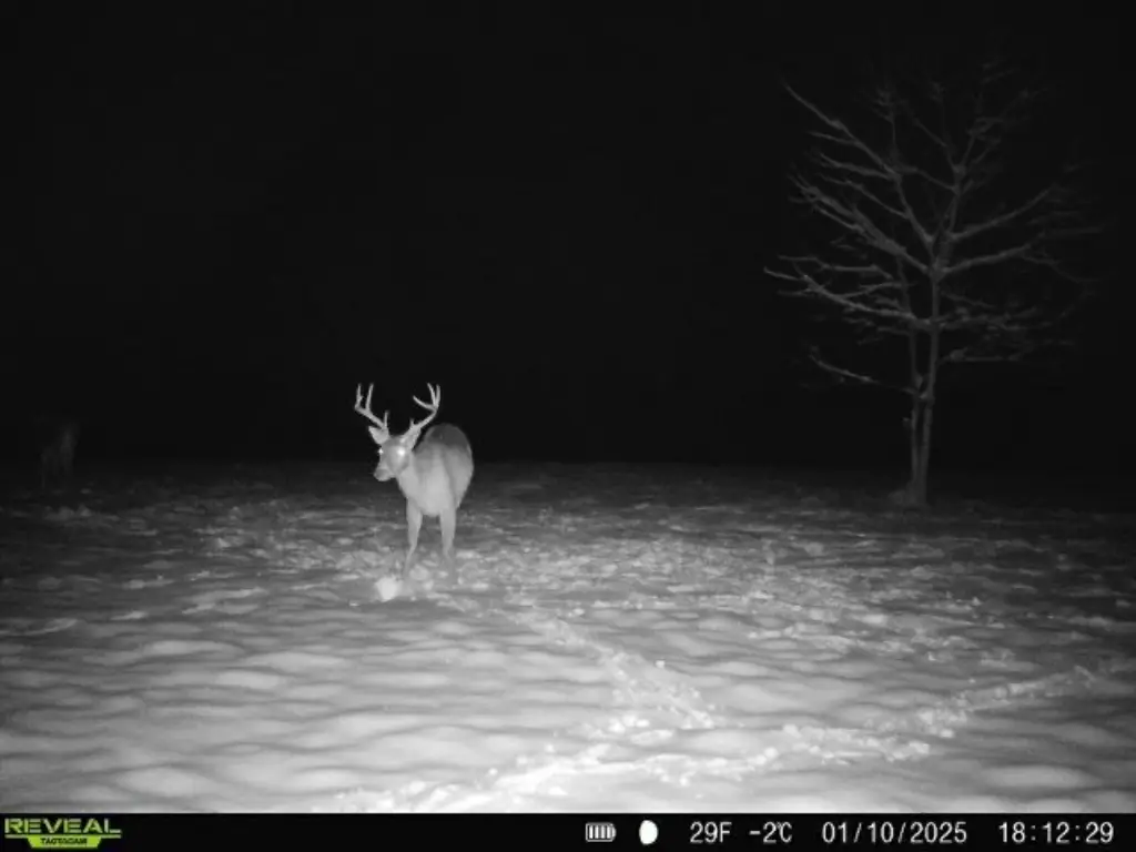 Picture 20