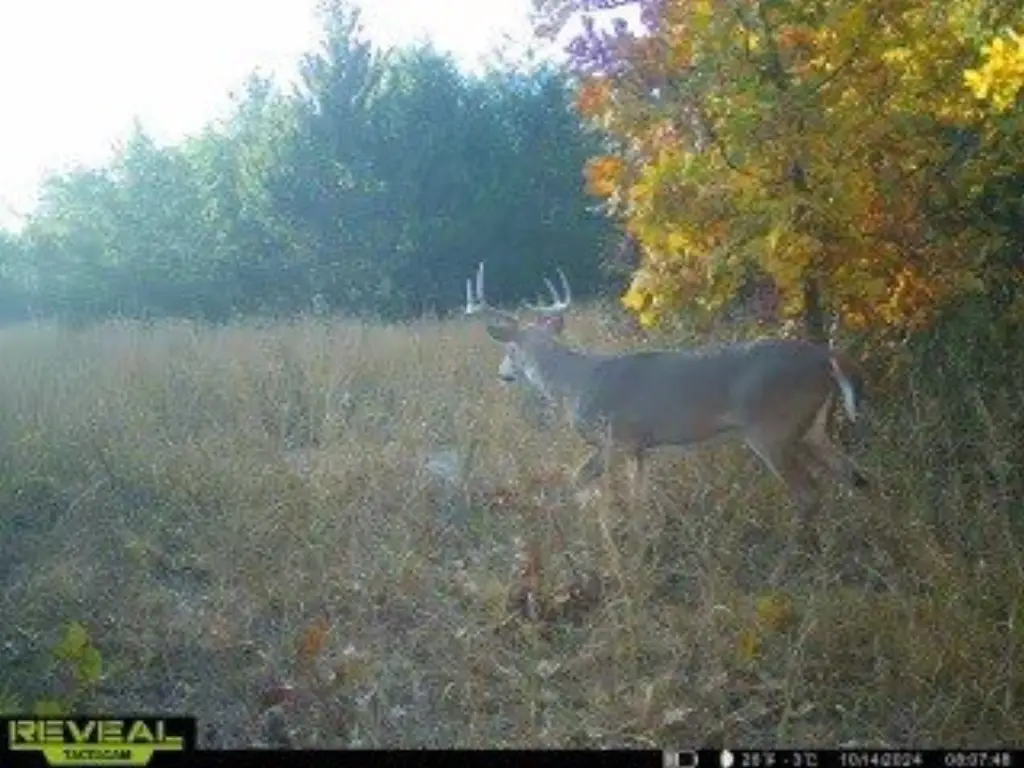 Picture 4