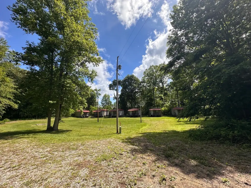 Picture 29