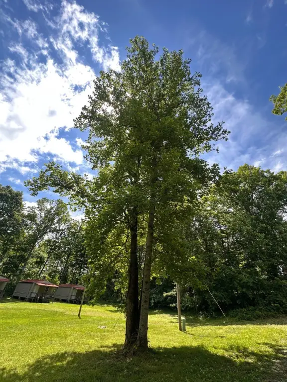 Picture 25