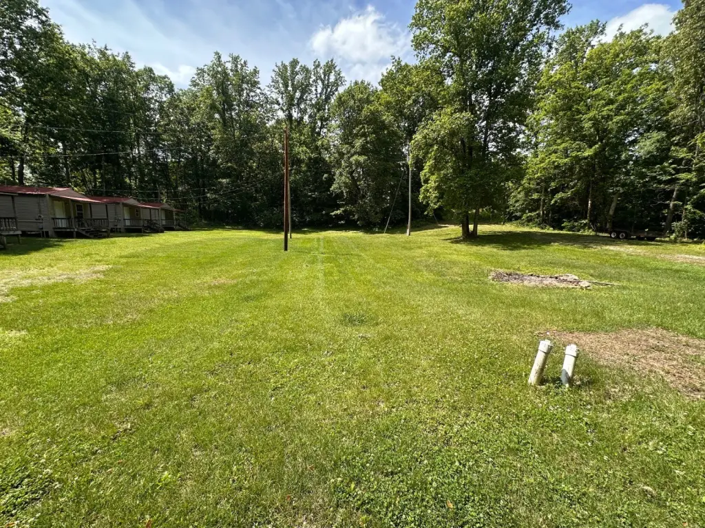 Picture 28