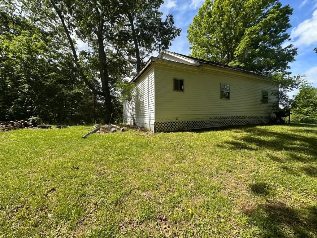 Picture 15