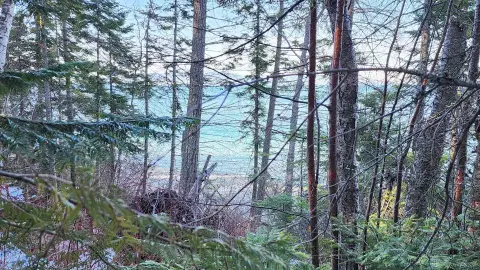 Flathead Lake Eastshore Land