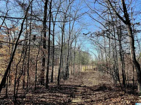 40 Acres in Talladega County