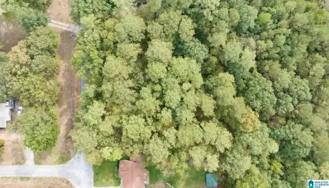 Residential Lot in Lake Community