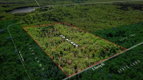 20 Acres in Manistee Forest