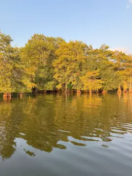 Toledo Bend Lakefront Wooded Land