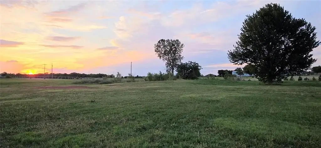 Picture 8