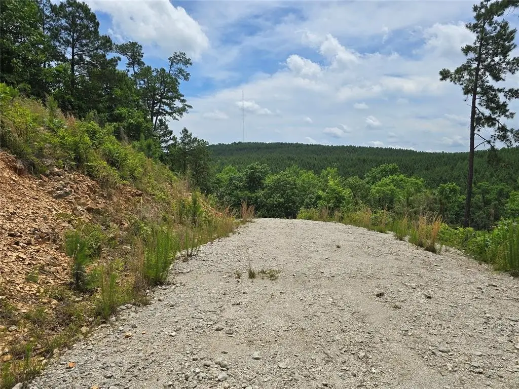 Picture 6