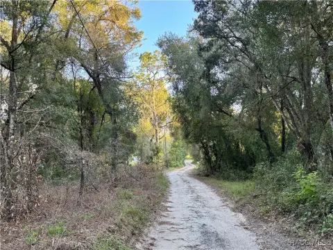 Land in Floral City, FL
