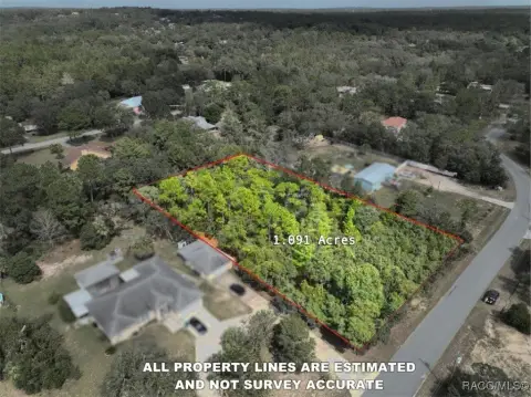 Homosassa Buildable Lot For Sale