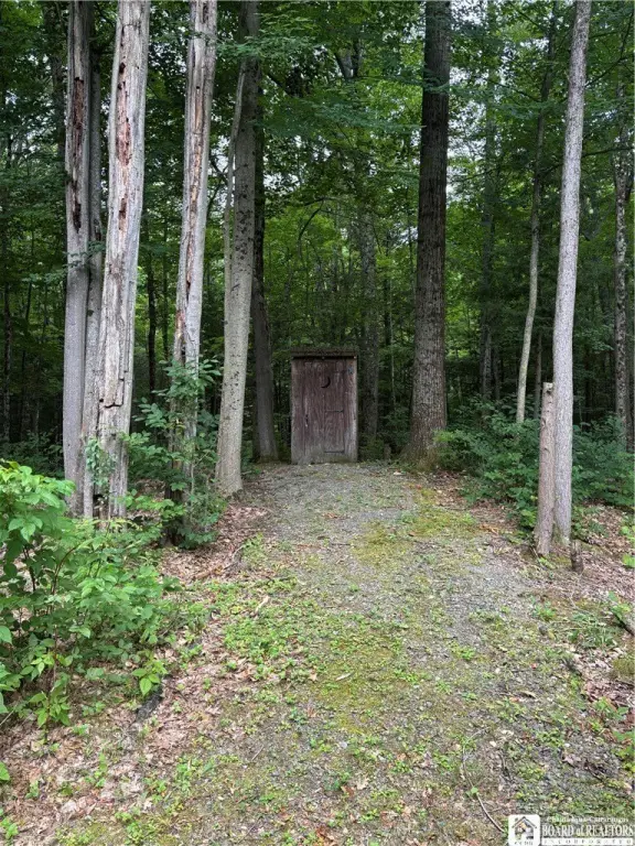 Picture 27