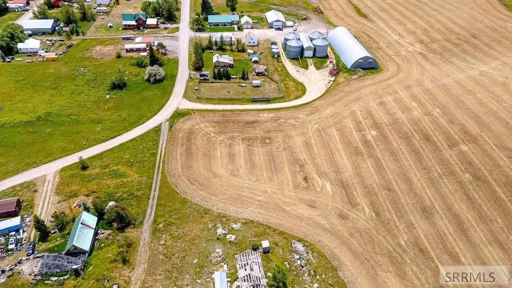 Picture 5