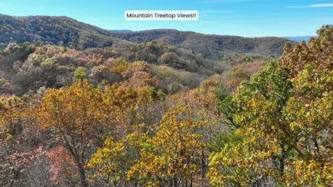 Morganton, GA Vacant Lot