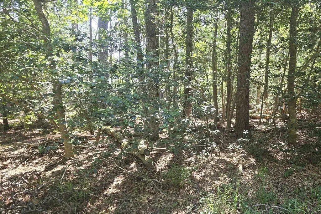 Picture 2
