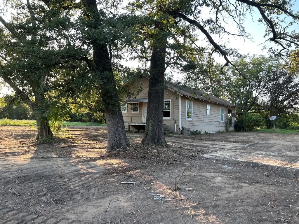 Picture 11